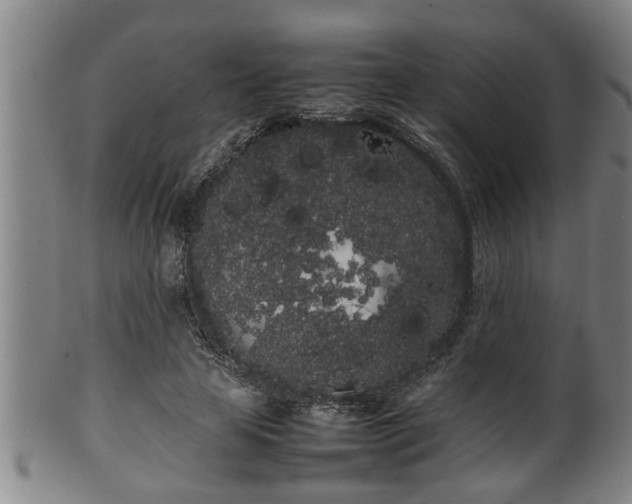 X0000100220641200806061346