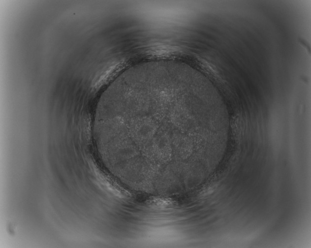 X0000100220642200806061346