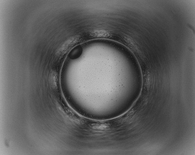 X0000100220643200806061346