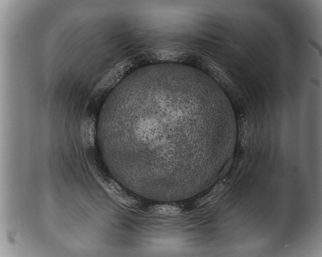 X0000100220644200806061346