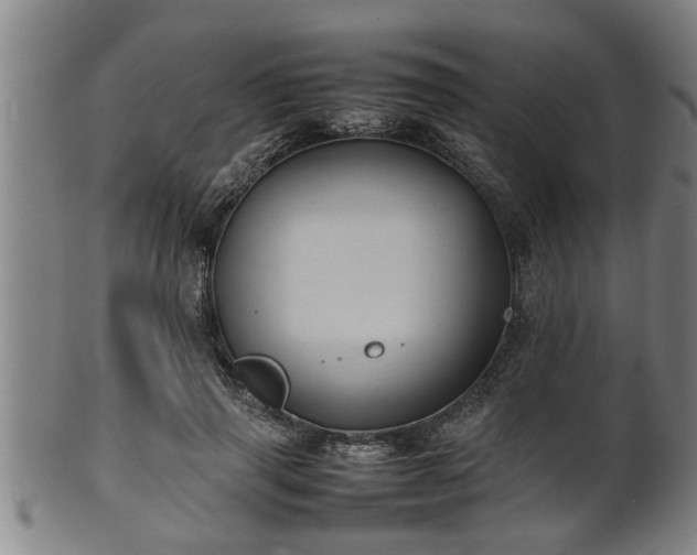 X0000100220645200806061346