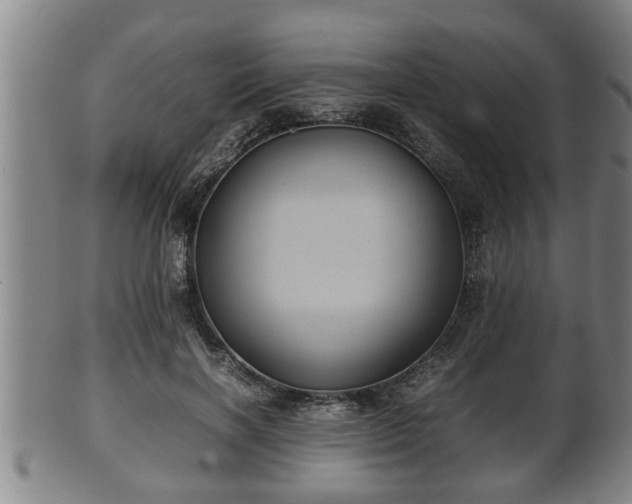 X0000100220646200806061346