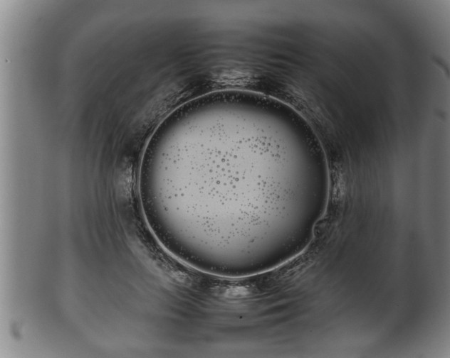 X0000100220647200806061346