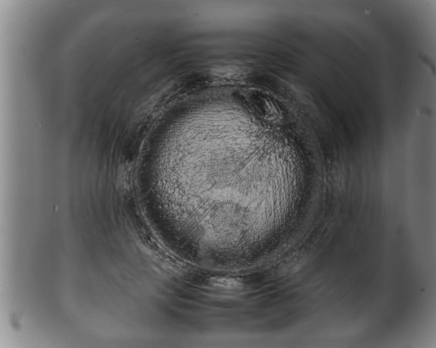 X0000100220649200806061346