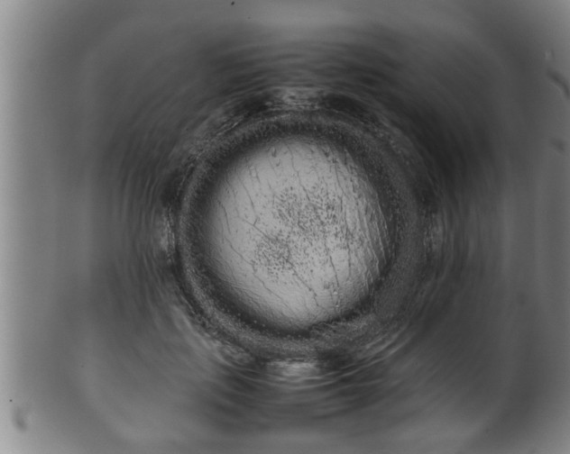 X0000100220651200806061346