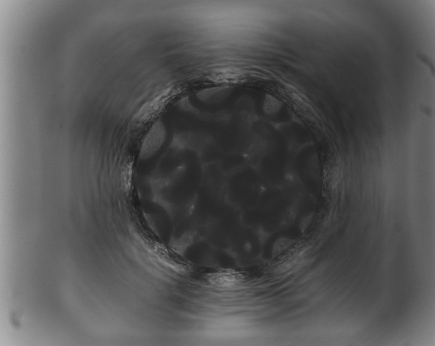 X0000100220652200806061346