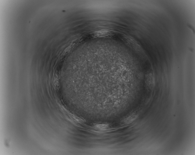 X0000100220653200806061346