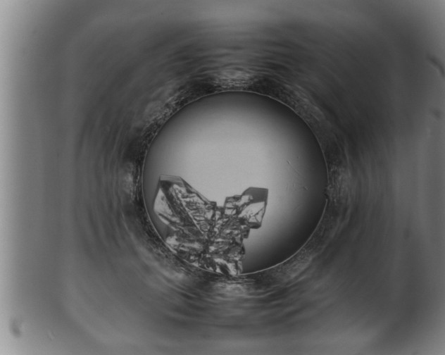 X0000100220655200806061346
