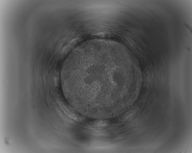 X0000100220656200806061346