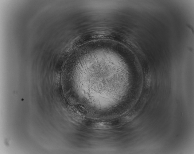 X0000100220657200806061346