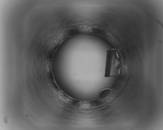 X0000100220658200806061346