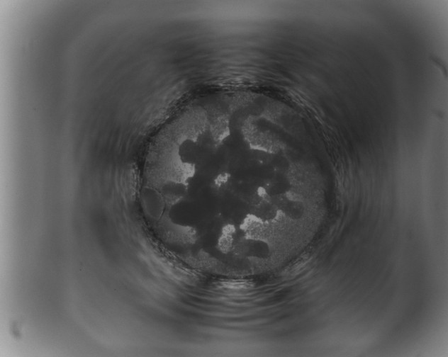 X0000100220659200806061346