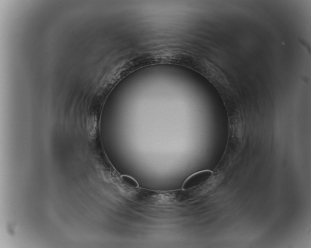 X0000100220660200806061346