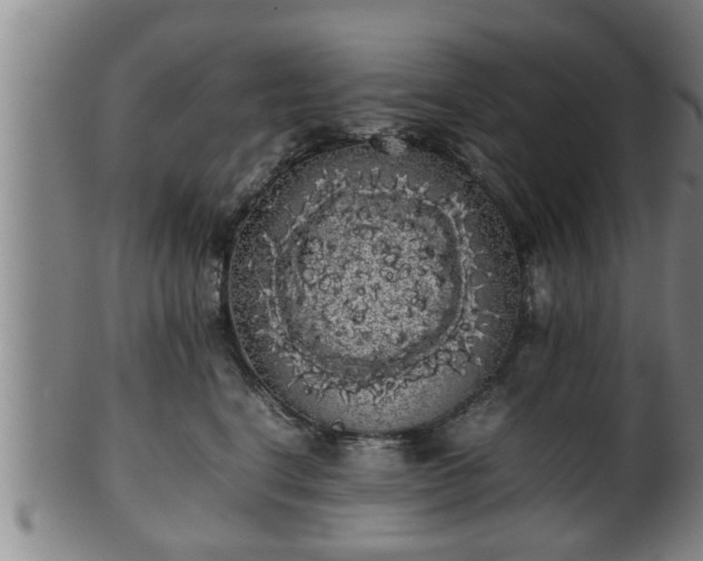 X0000100220664200806061346