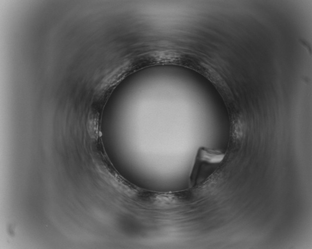X0000100220666200806061346