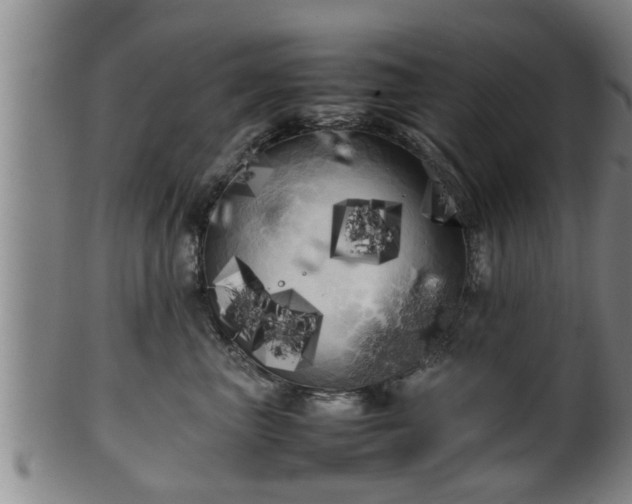 X0000100220667200806061346