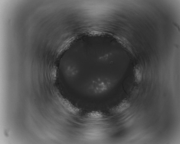 X0000100220668200806061346