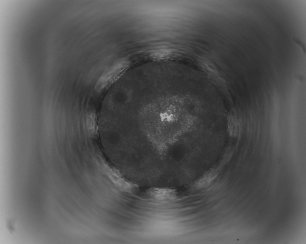 X0000100220670200806061346