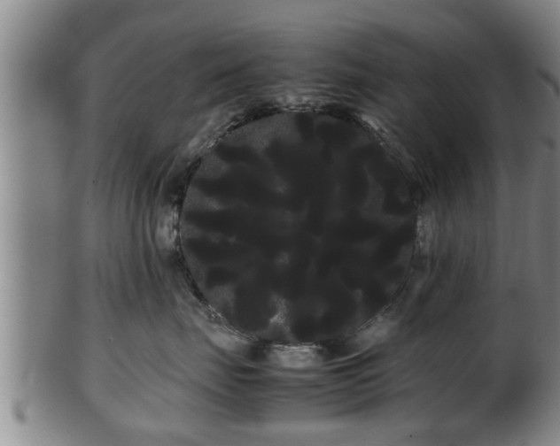 X0000100220671200806061346