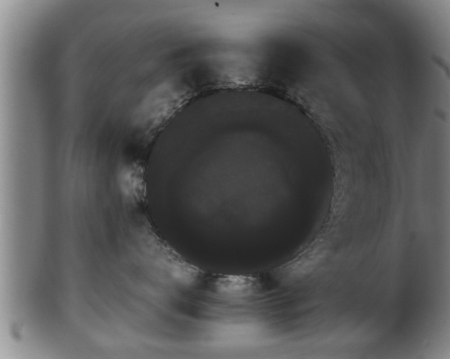 X0000100220672200806061346