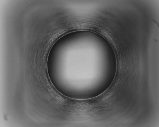 X0000100220673200806061345