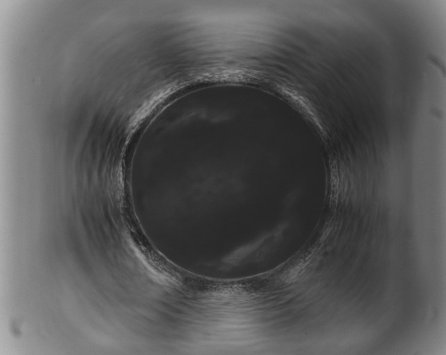 X0000100220674200806061345