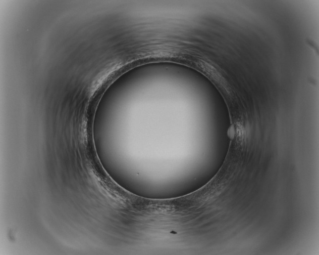 X0000100220676200806061345