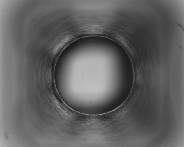 X0000100220677200806061345