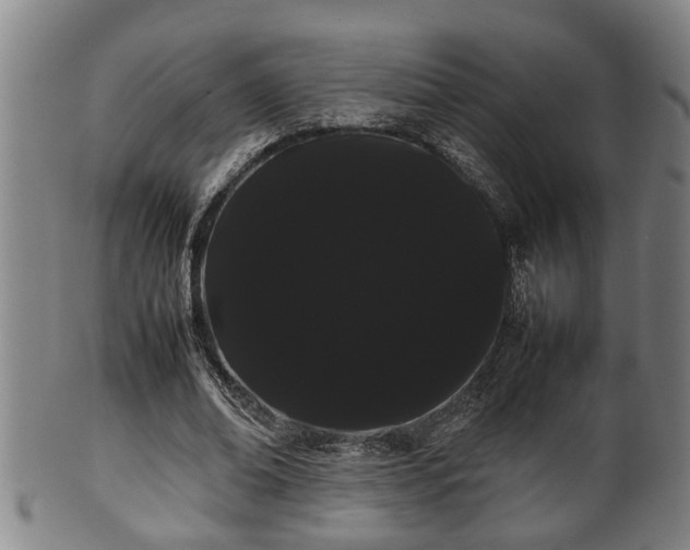 X0000100220678200806061345