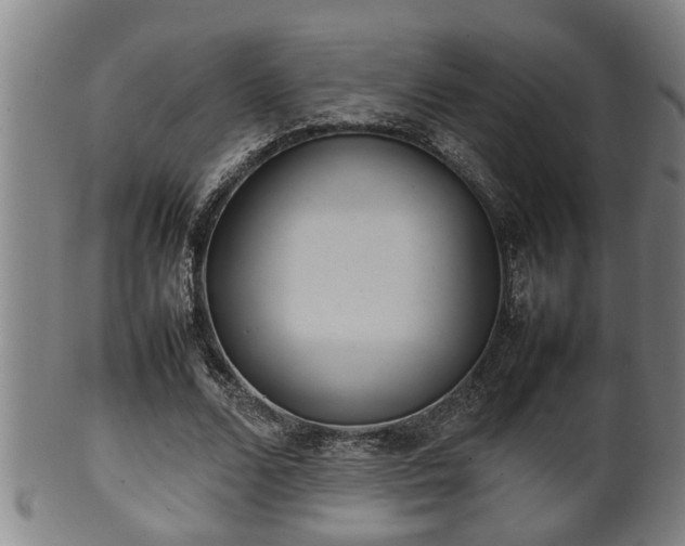 X0000100220680200806061345