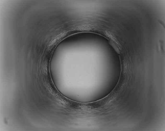 X0000100220681200806061345