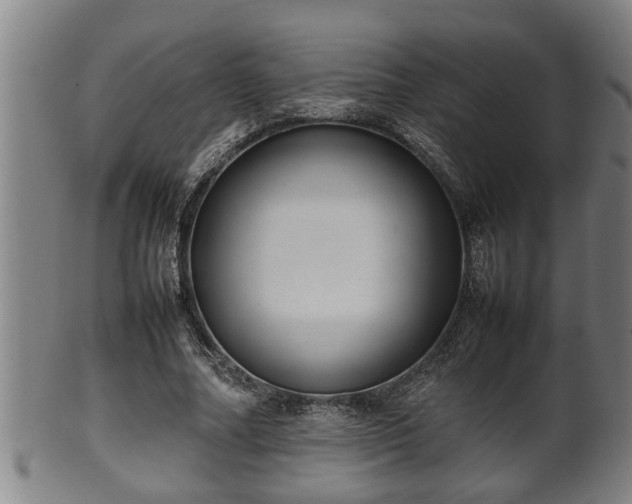 X0000100220682200806061345