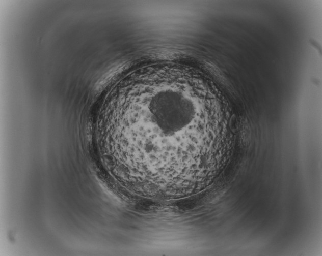 X0000100220683200806061345