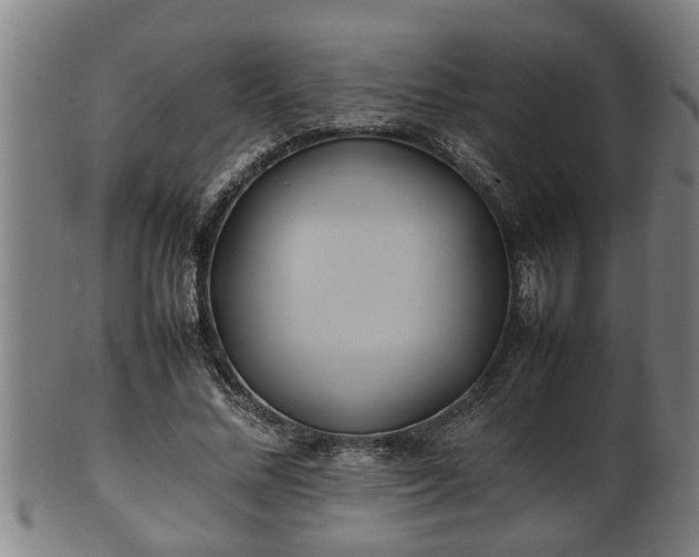 X0000100220684200806061345