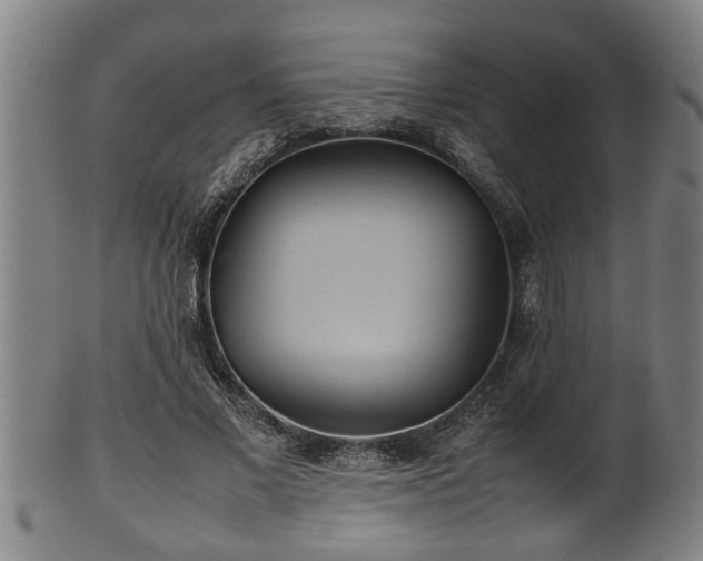 X0000100220685200806061345