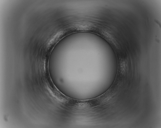 X0000100220686200806061345