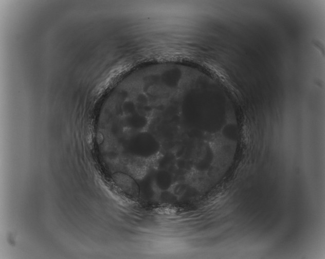 X0000100220687200806061345