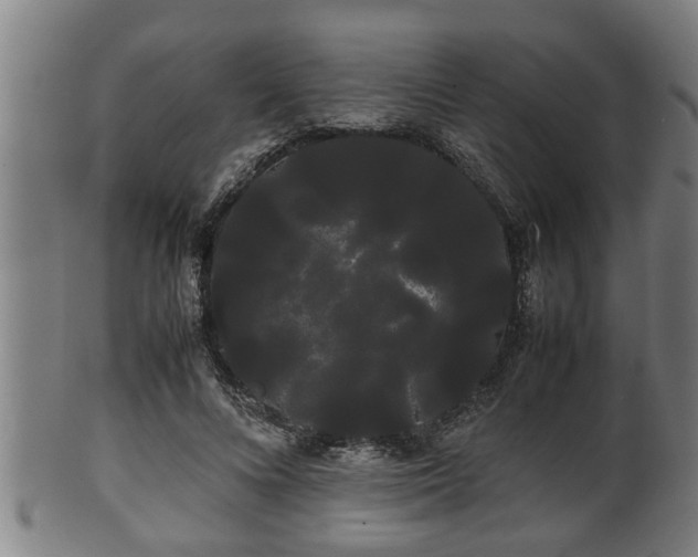 X0000100220688200806061345