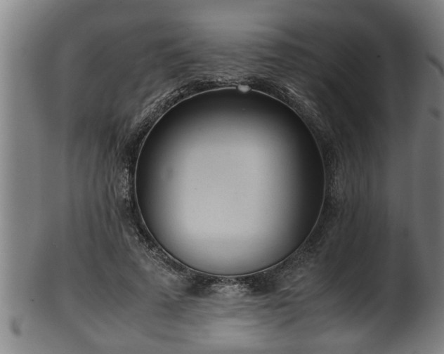 X0000100220689200806061345