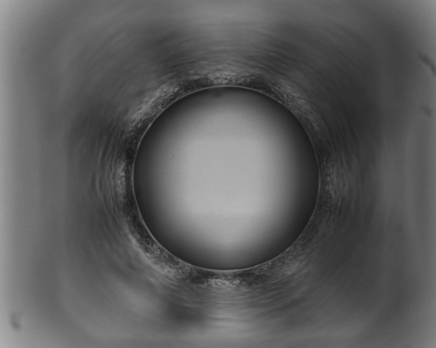 X0000100220690200806061345