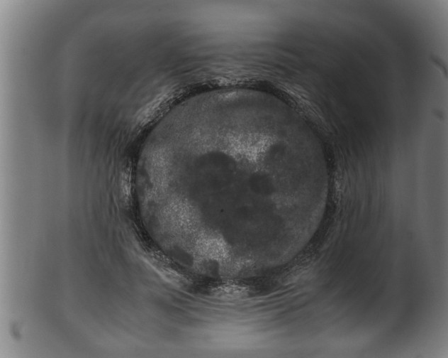 X0000100220691200806061345