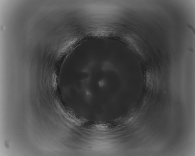 X0000100220692200806061345