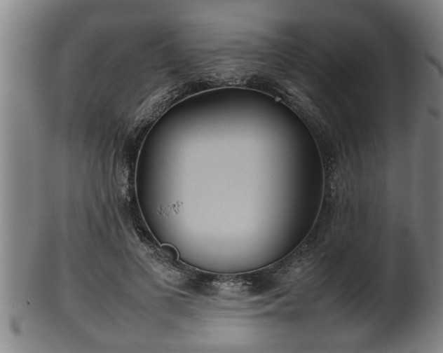 X0000100220693200806061345