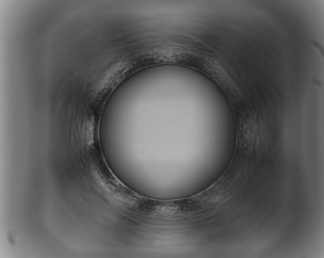 X0000100220694200806061345