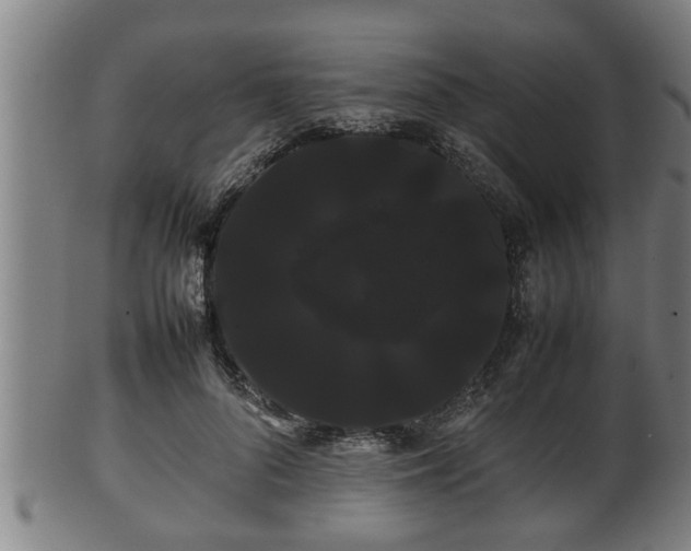 X0000100220696200806061345