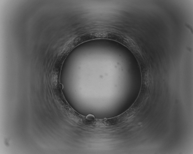 X0000100220697200806061345