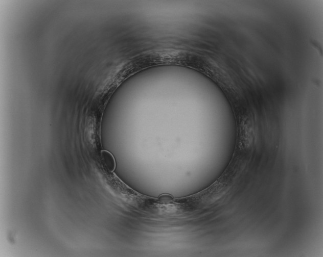 X0000100220698200806061345