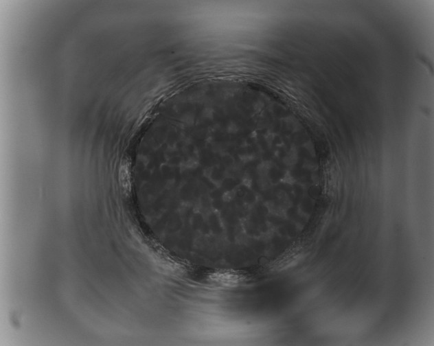 X0000100220699200806061345