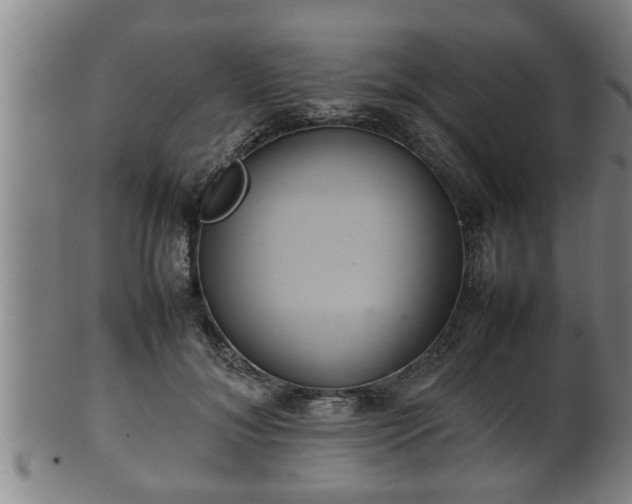 X0000100220700200806061345