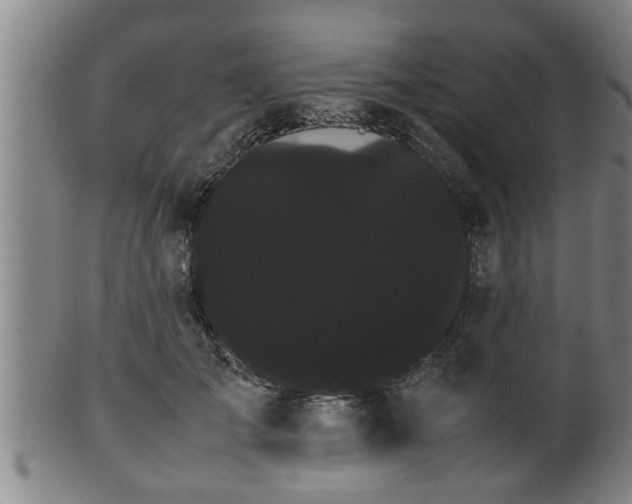 X0000100220701200806061345